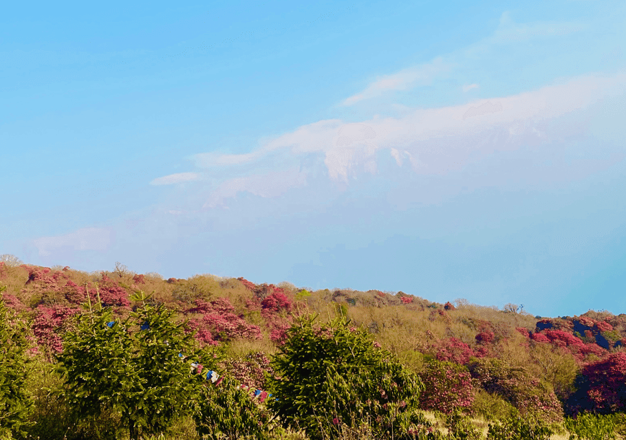 Ghorepani Poon Hill Trek with Guide