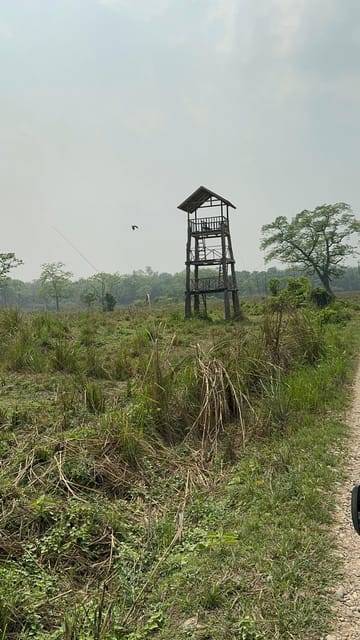 From Pokhara: Chitwan 2N/3D National Park Tour