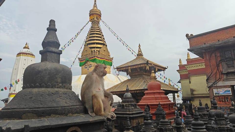 Kathmandu: Buddhist Stupas Tour with Kapon Monastery Visit