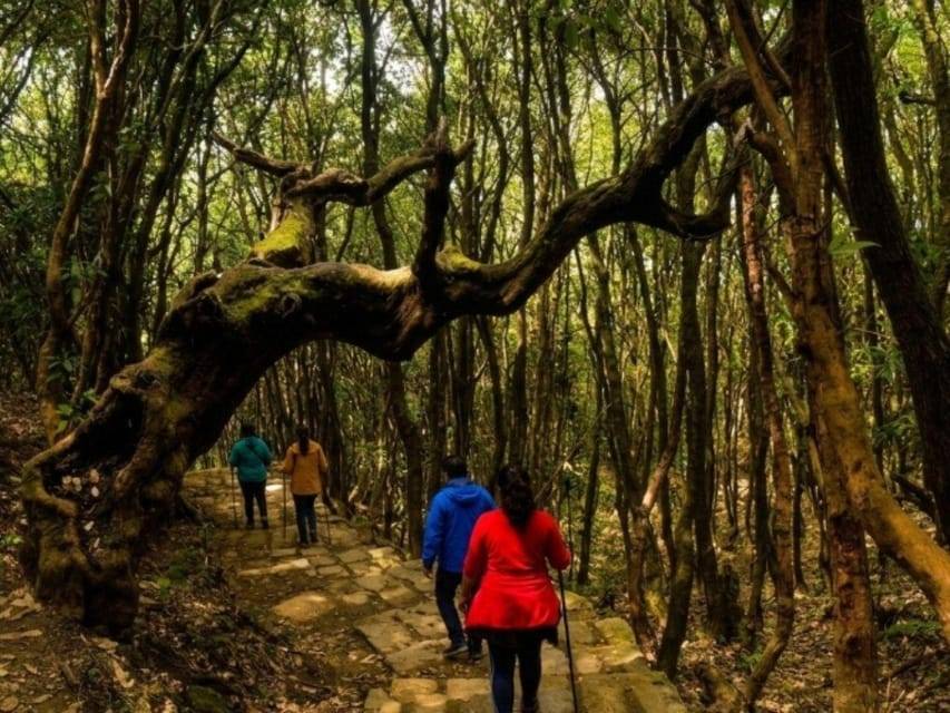 Kathmandu: Tarebhir, Nagi Gompa, & Budhanilkantha Day Hike