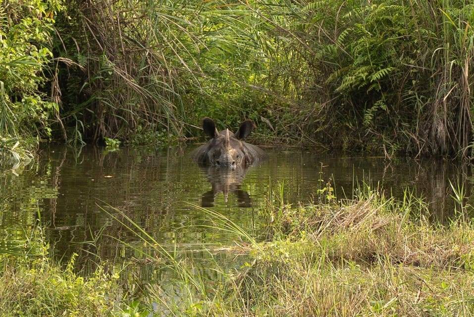 Chitwan: 2 NIGHTS 3 DAYS FULL SAFARI PACKAGE ALL INCLUSIVE