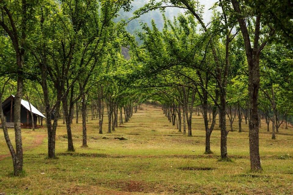 Kathmandu: Chitlang Wine Tasting Tour with Lunch & Guide