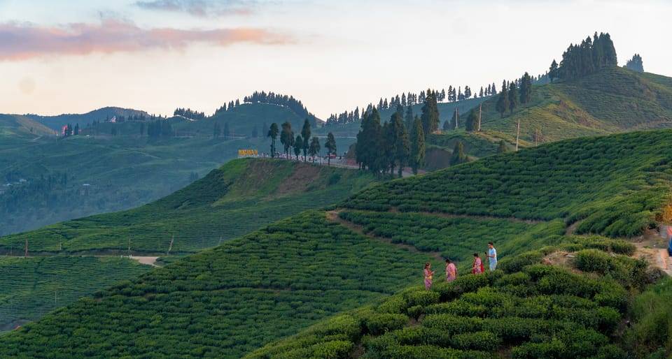 Kathmandu: Ilam Tea Garden & Sunrise 3-Day Tour