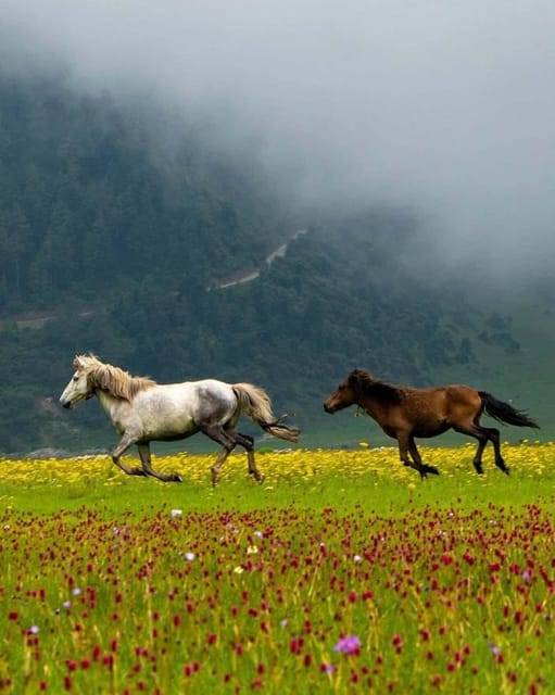 Pokhara: Dhorpatan 2-Day Jeep Tour with Guide