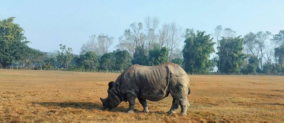 Kathmandu: 4-Day Chitwan National Park & Chitlang Tour