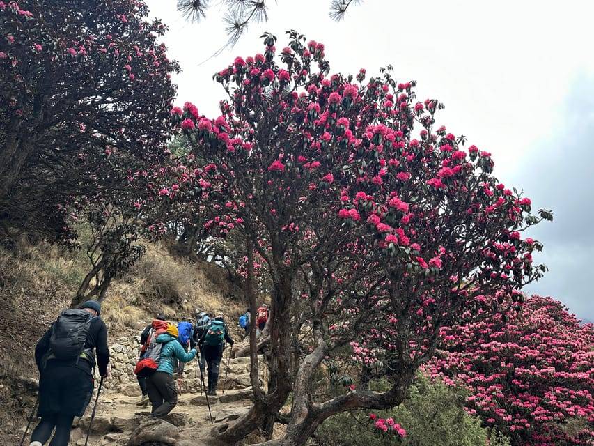 From Pokhara: 4-Day Ghorepani Poon Hill Trek with Guide
