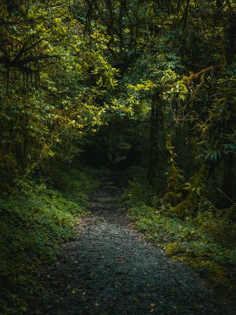 Kathmandu: Shivapuri National Park Guided Hike