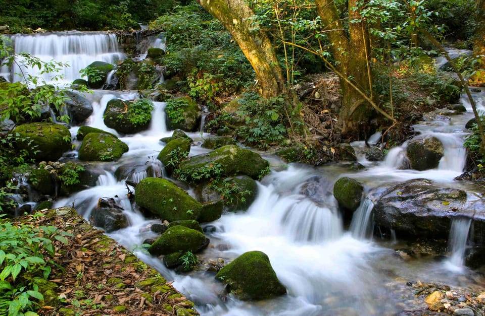 From Kathmandu: Shivapuri Nagarjun–Bagdwar Guided Hike