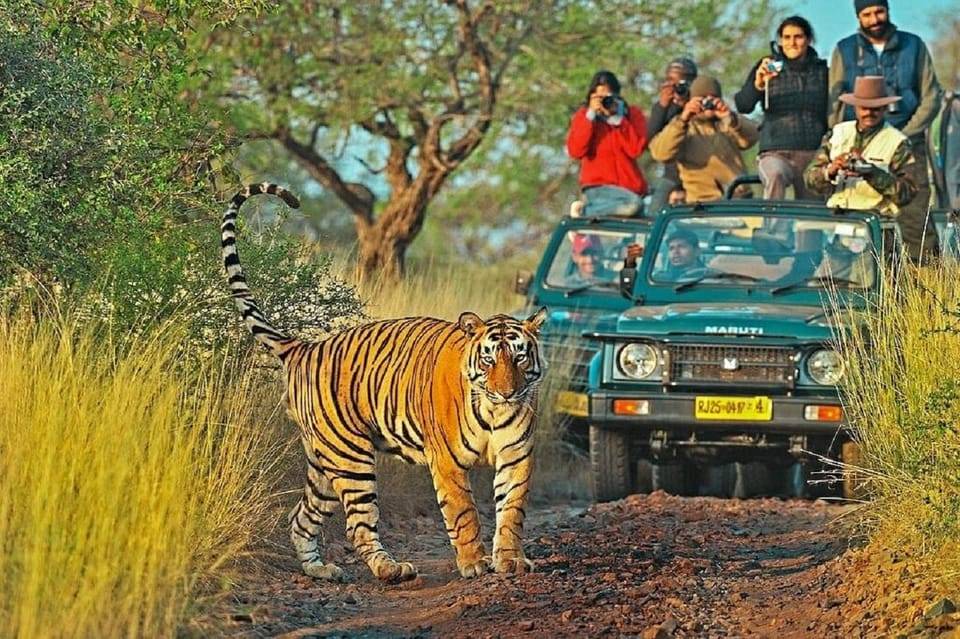 Golden Triangle Tour with Ranthambore Wildlife Safari 4D/3N