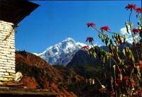 Jomsom Muktinath Trekking: 11-Day Tour from Kathmandu
