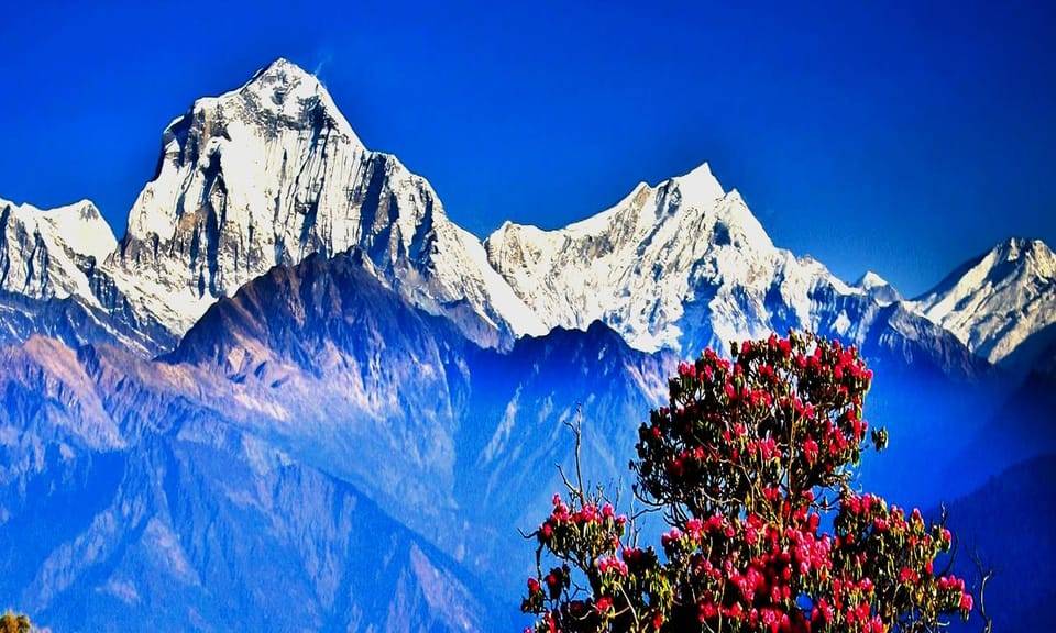 Poon Hill Trekking from Kathamndu