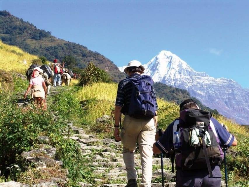 Pokhara: Annapurna Day Hike with Panoramic Views