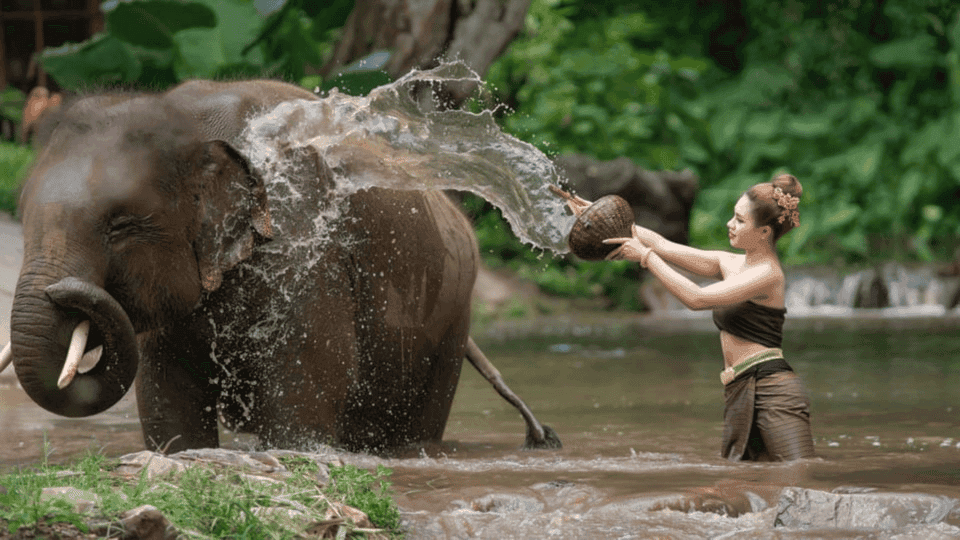 3-Day Chitwan Jungle Safari Adventure From Kathmandu/Pokhara