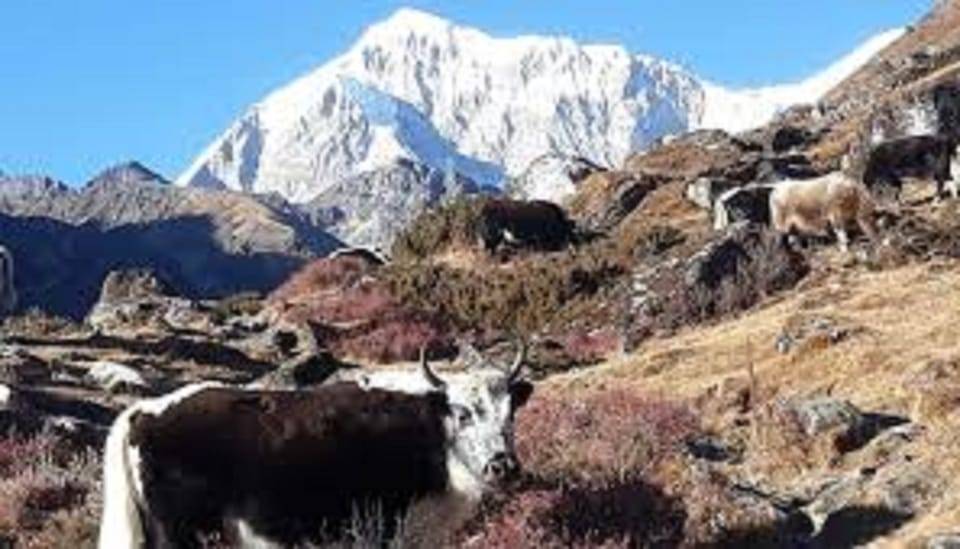Kathmandu: 8 Night 9 Days Dudh kunda Trek