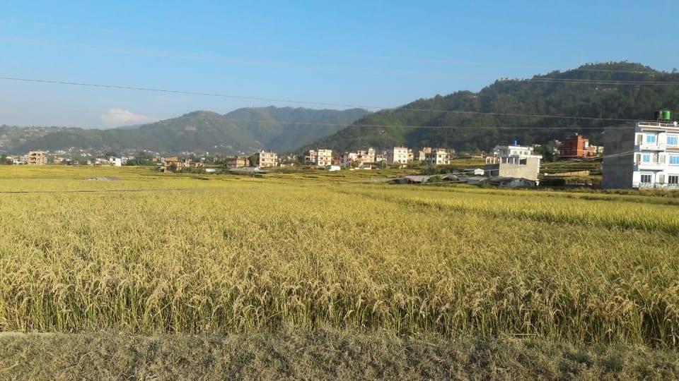 Hattiban - Champadevi: Day Hiking Tour