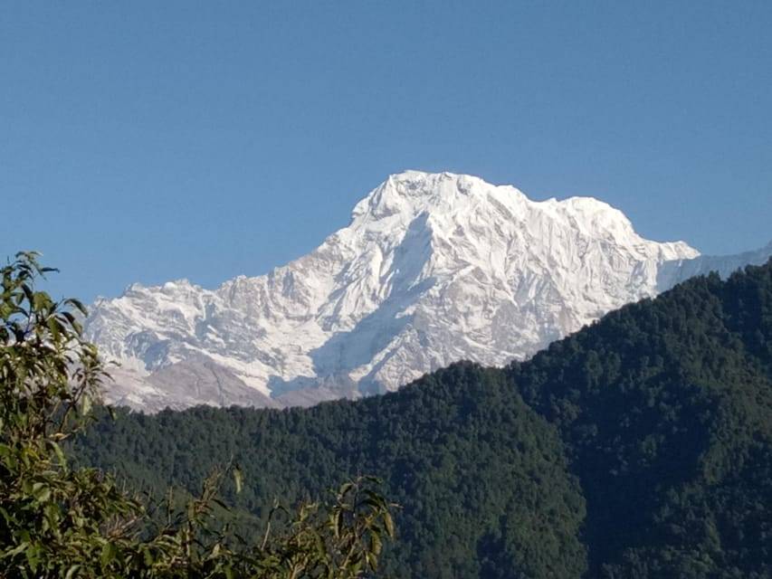 1 N 2 Days easy Dhampus,Australian camp trek from Pokhara