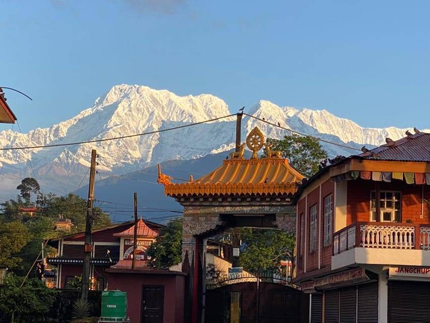 Morning half day Tibetan cultural tour