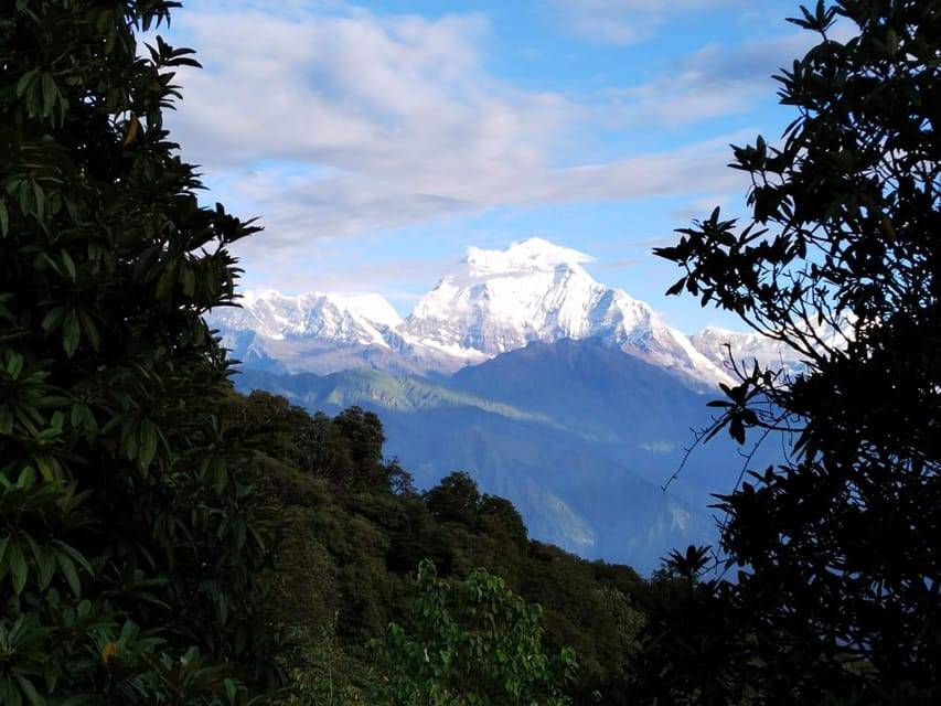 From Kathmandu : 3 Night 4 Day Poon Hill Trek