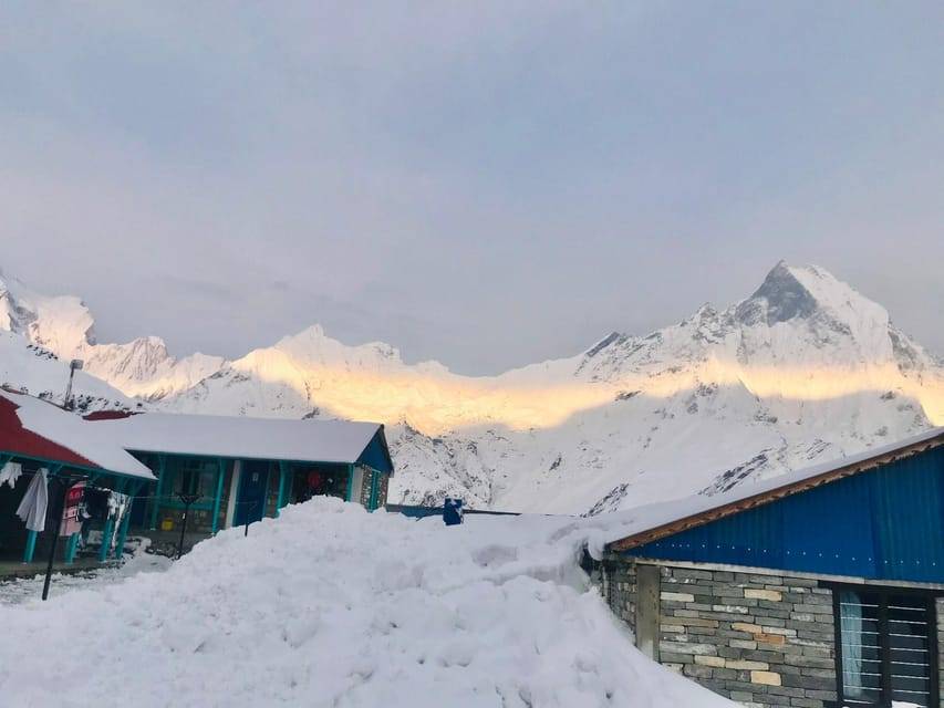 From Pokhara: 7 Days Budget backpackers group ABC Trek