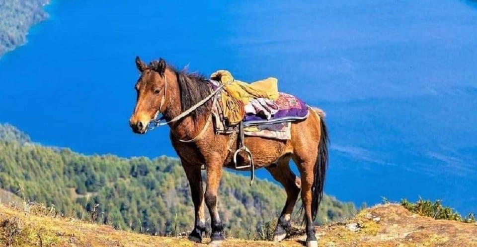 Pokhara: 1-Hour Horseback Ride with Hotel Pickup