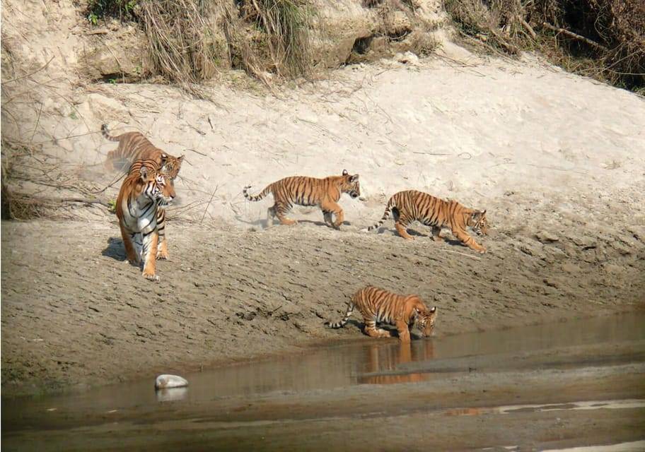 Pokhara: 1 Night 2 Day Chitwan Safari Tour
