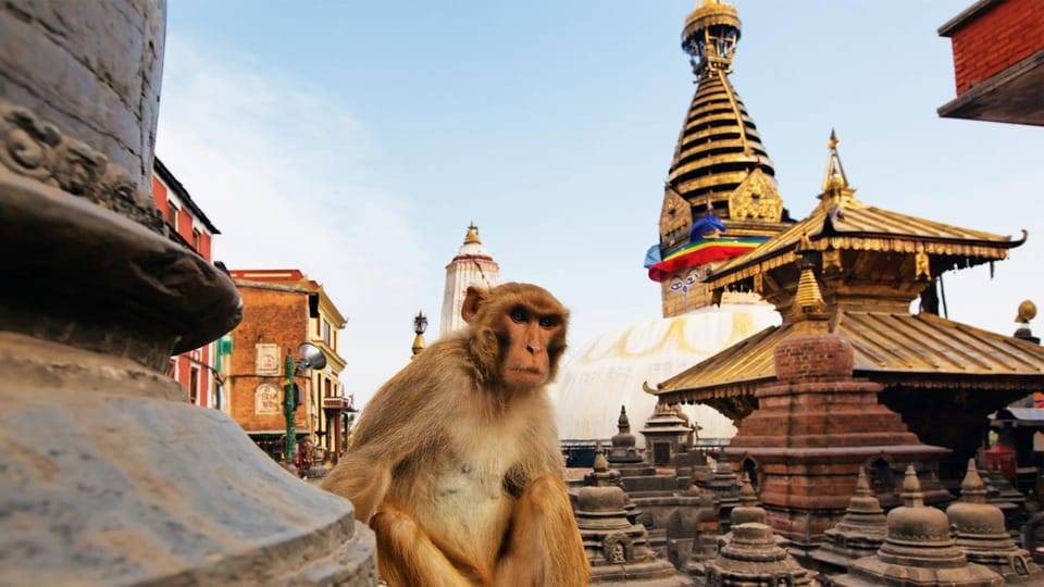 Kathmandu: Chandragiri cable car & Swayambhunath Tour