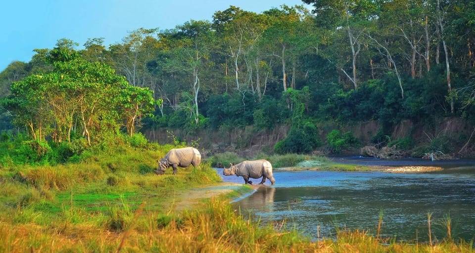 Kathmandu/Pokhara: 2-Day Chitwan Safari Private Tour By Car