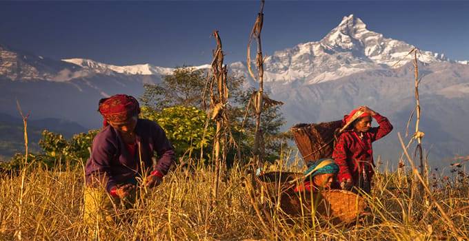 Day Hike at Annapurna Foothills
