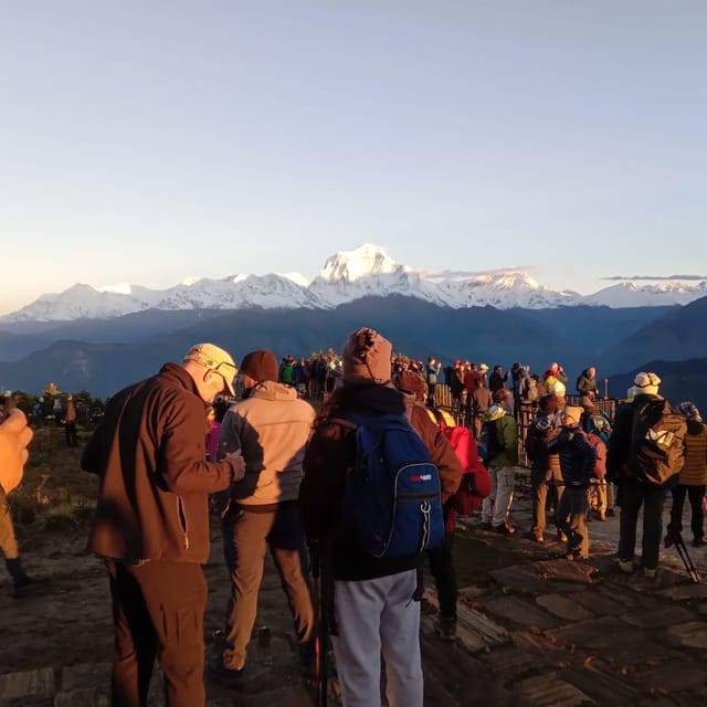 Pokhara: 3-Day Easy pulse Poon Hill Trek.