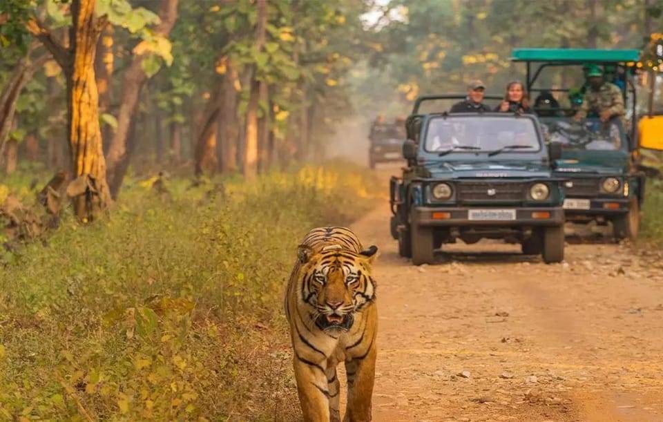 Kathmandu: 4-Day Private Chitwan National Park Safari Tour