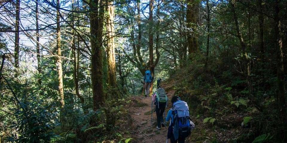 Pokhara: Hike To Australian Base Camp