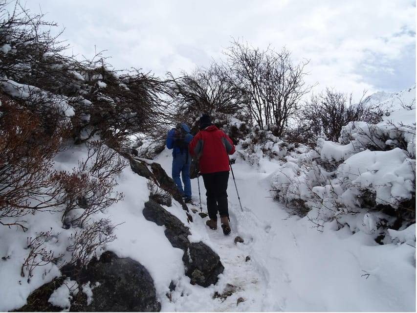5 Day Langtang Valley Trek; Guide; Transport; permit