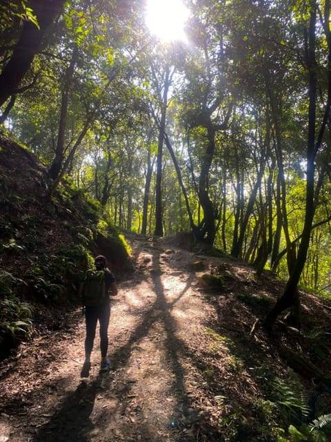 Kathmandu: Day Hike with Breakfast and Lunch