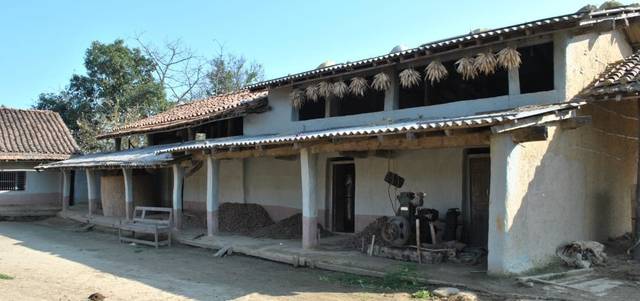 Tharu Homestay (House 5) — hotel in Dhangadhi