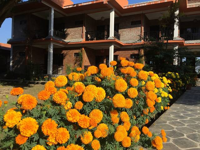 "a stylish & brilliantly design garden hotel "