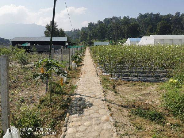 Welcome to Madi Organic Farmstay — photo