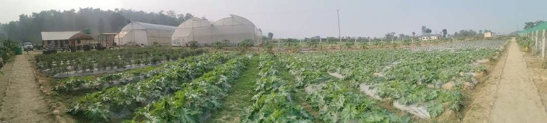 Welcome to Madi Organic Farmstay — photo