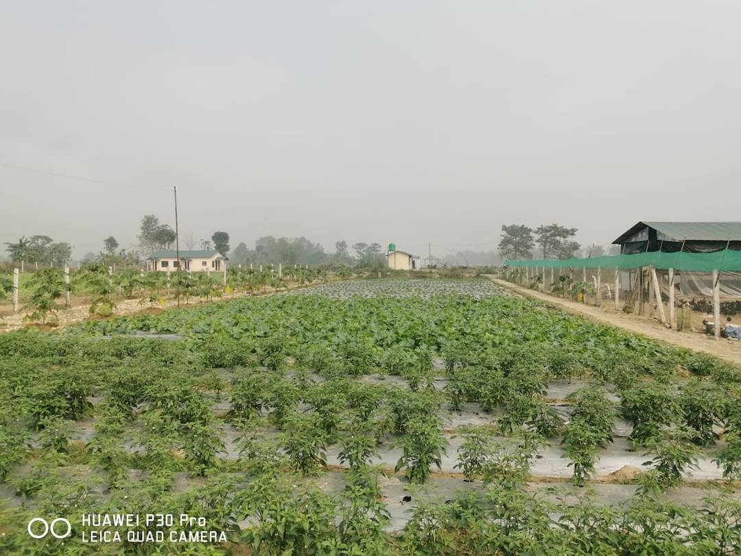 Welcome to Madi Organic Farmstay — photo