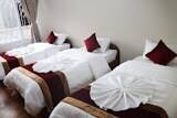 Om Tara Guest House — photo