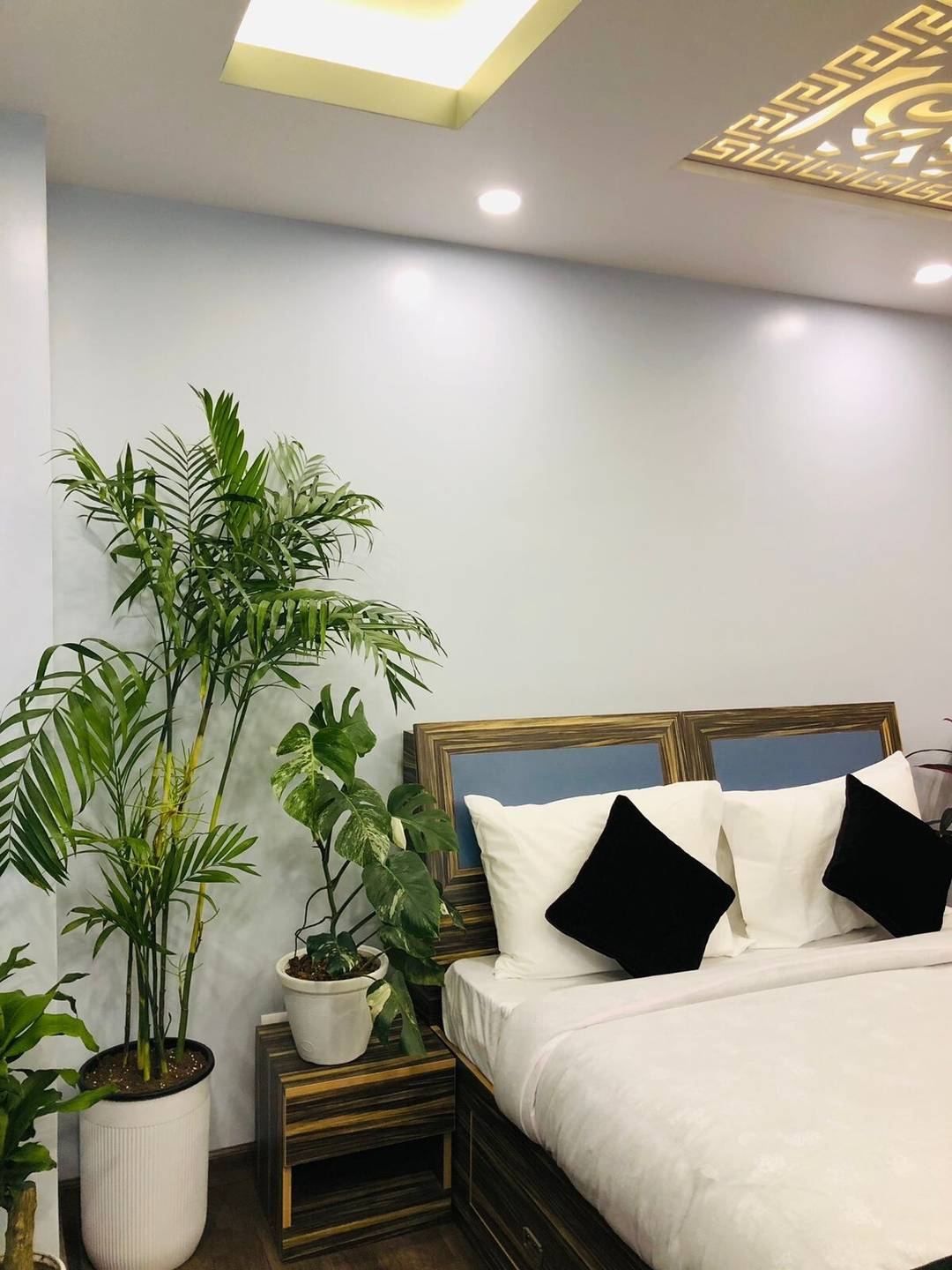 Montana Plant Apartment: A green escape — photo