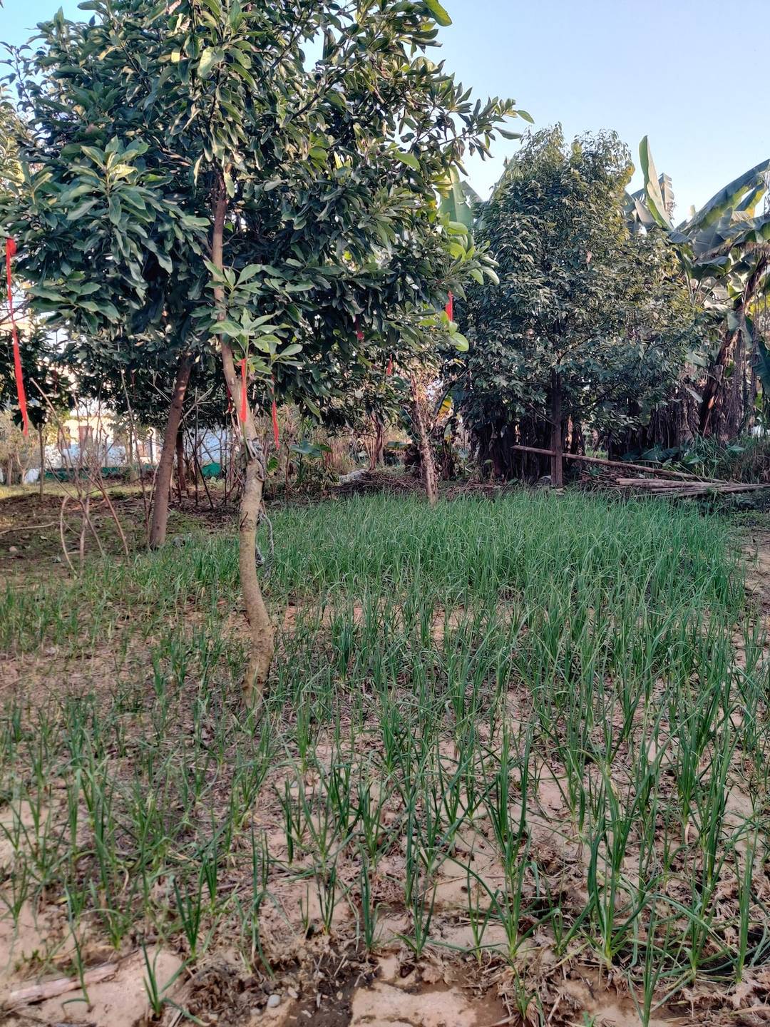 Bhoomi Organics — photo