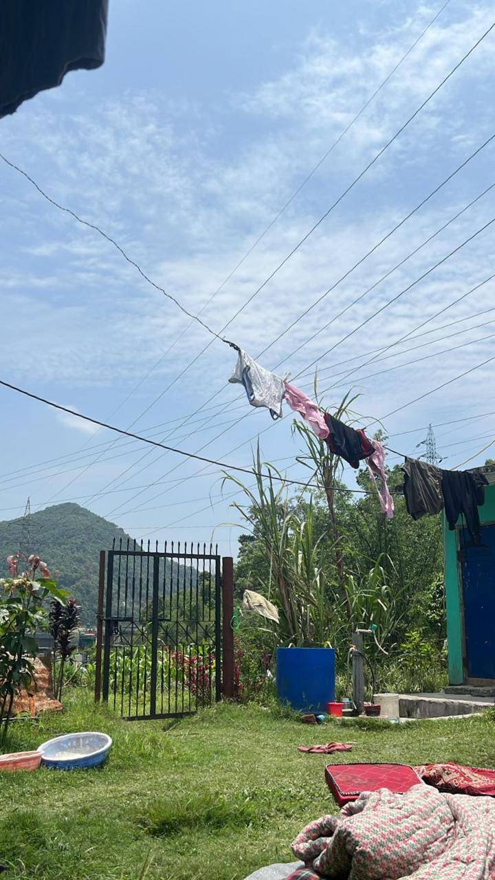 Organic Farm near Pokhara — photo