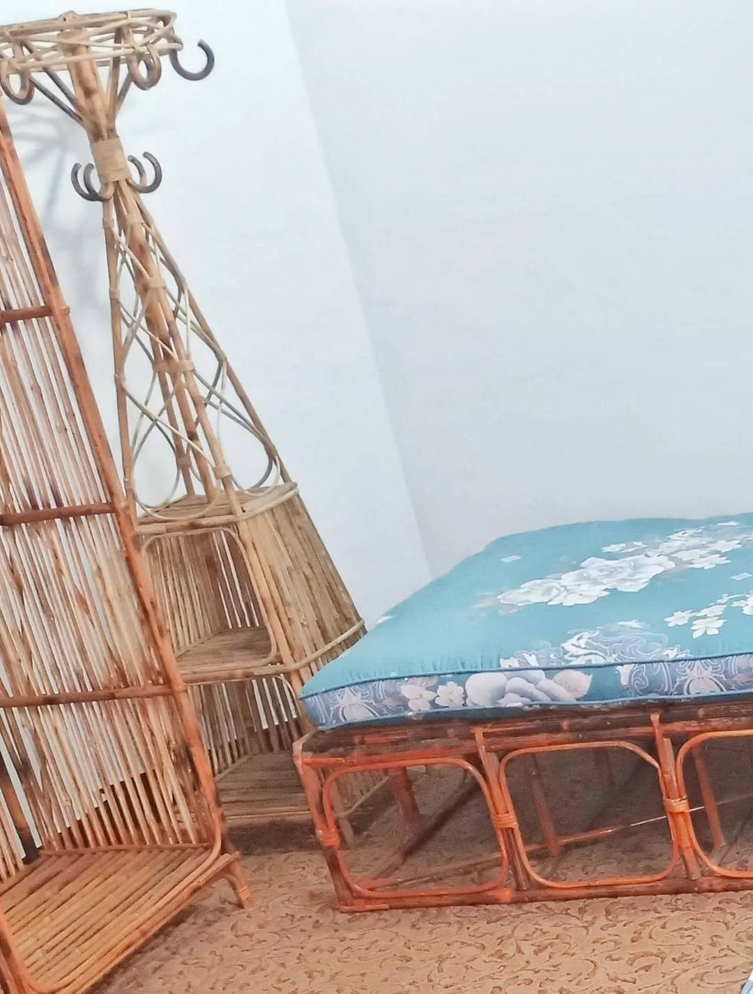 This is vegan friendly Hostel — photo