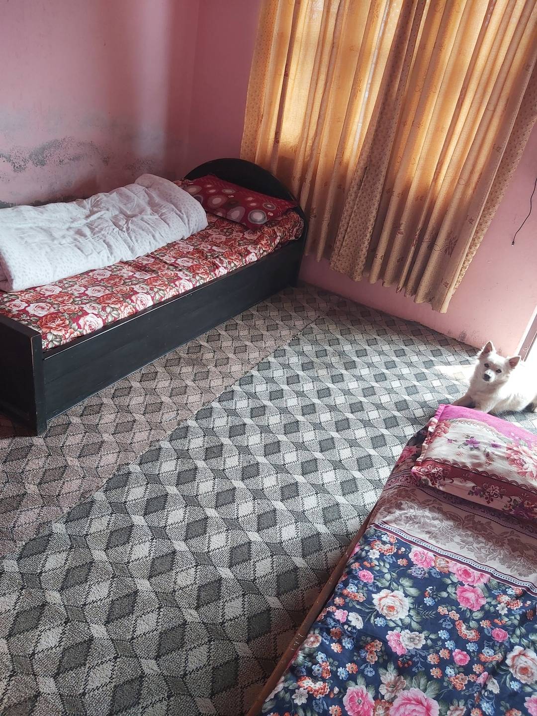 Roshan's Family BnB