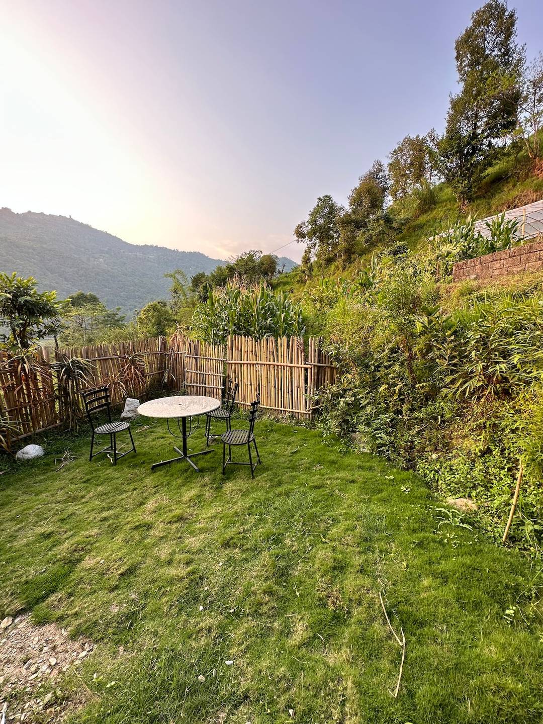 Nature Retreat Apartment — photo