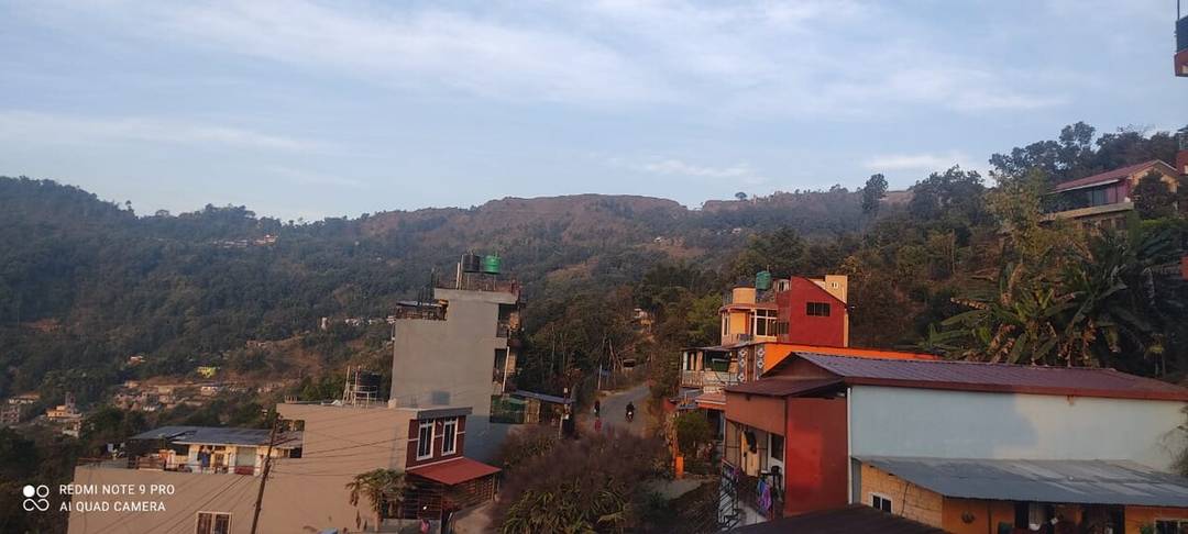 Calm City View Stay Surrounded by Nature — photo