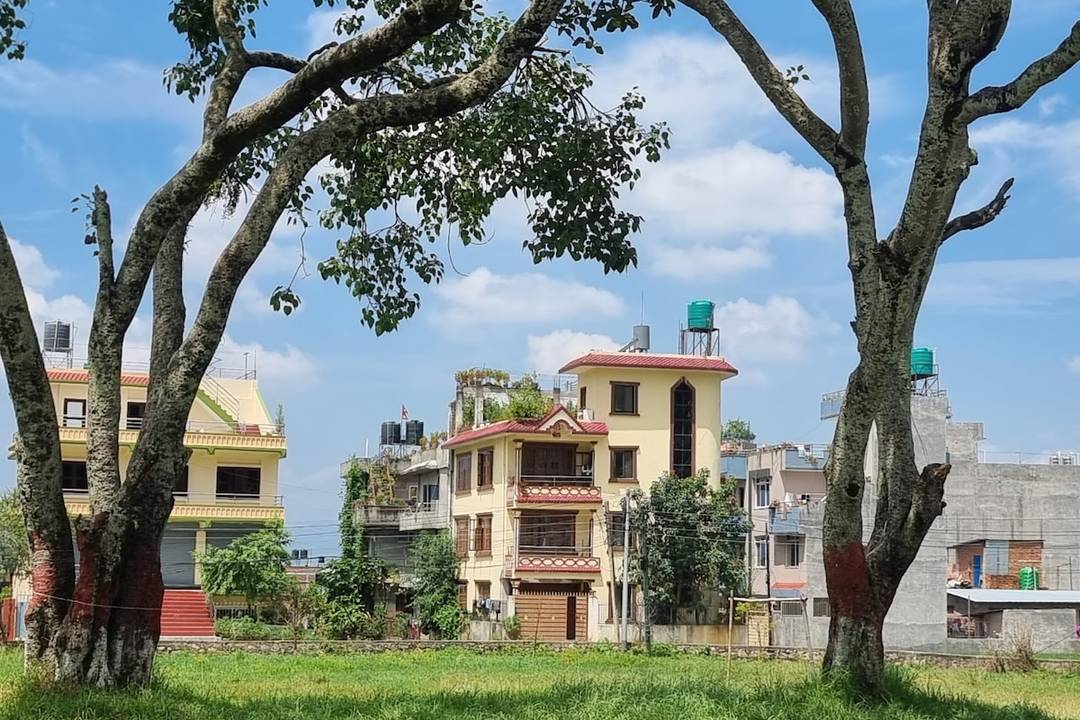 Homestay in a family environment — photo