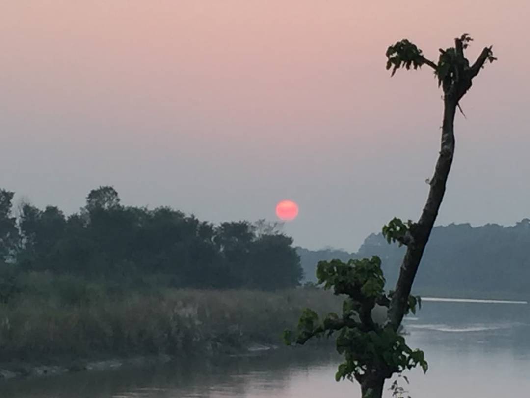Near by the river and national park — photo