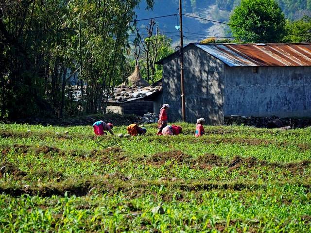 Undiscovered Pokhara - Meals Included — photo