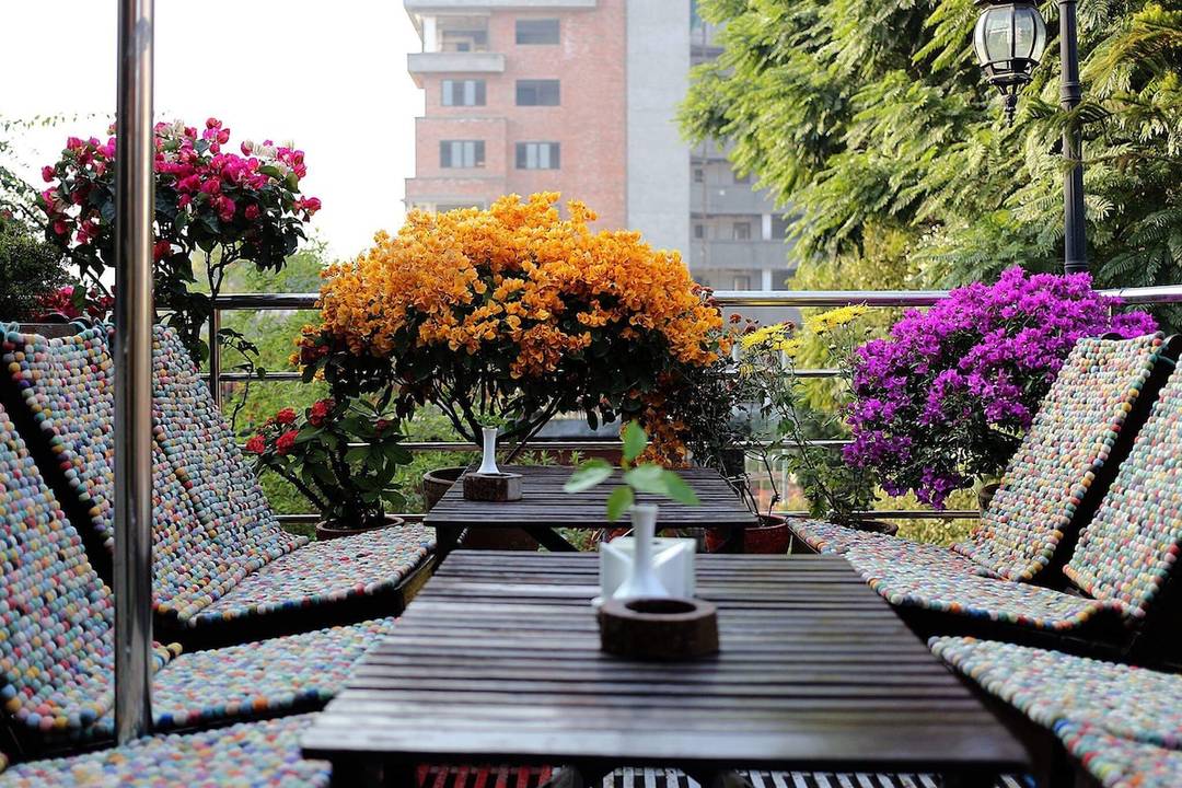 Shared 4 Bed Female Dorm Shangrila Boutique Hotel — photo